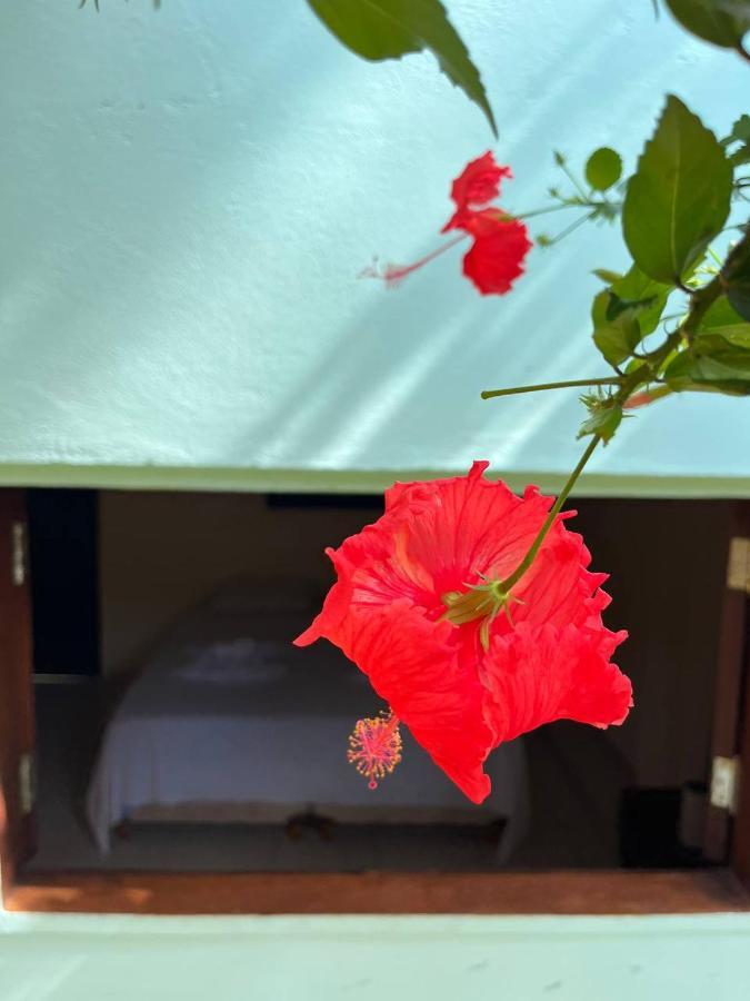 모로데상파울루 Bem Me Quer Casas 빌라 외부 사진